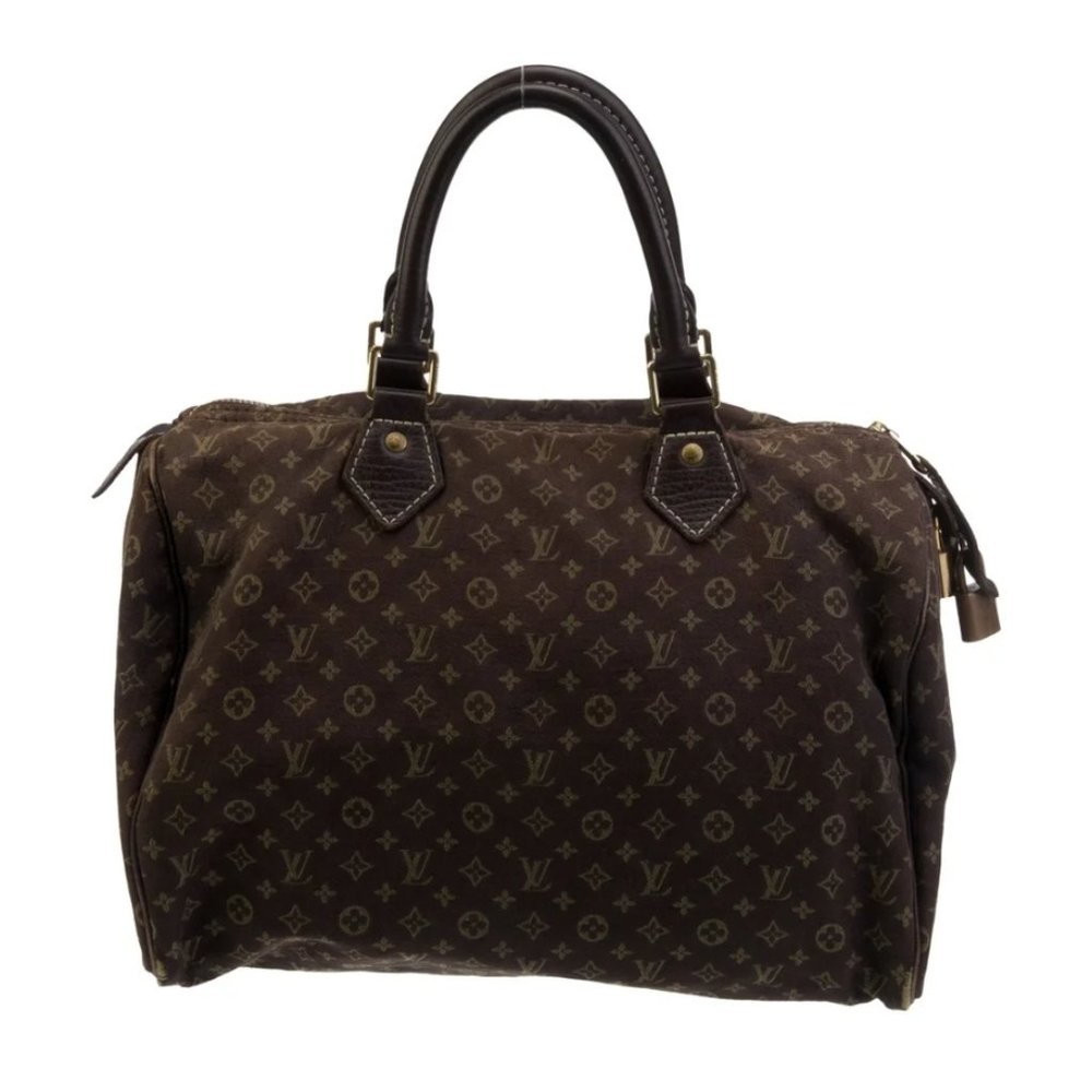Louis Vuitton Mini Lin